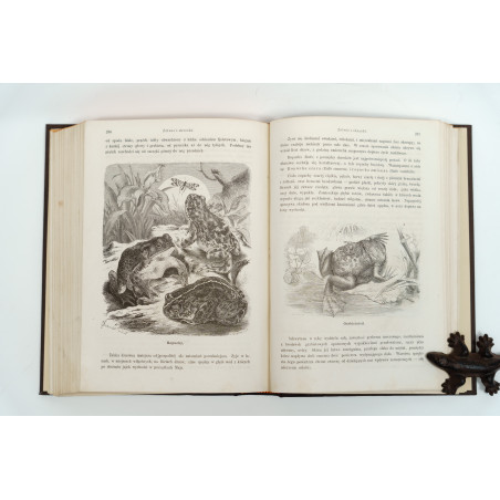 NIEWIADOMSKI W., Życie i obyczaje zwierząt według Brehma i innych najnowszych źródeł, Warszawa 1873