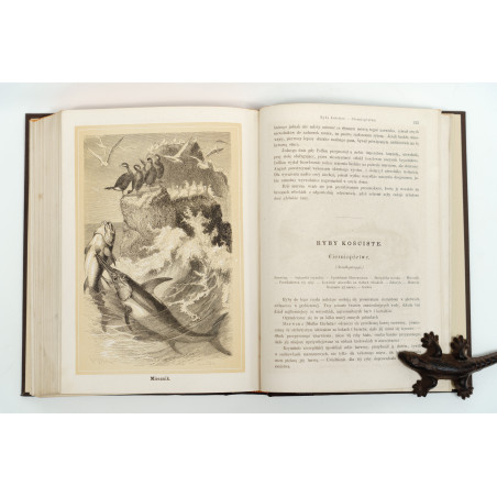 NIEWIADOMSKI W., Życie i obyczaje zwierząt według Brehma i innych najnowszych źródeł, Warszawa 1873