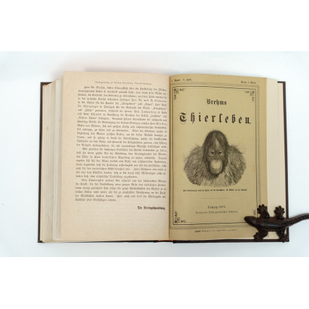 NIEWIADOMSKI W., Życie i obyczaje zwierząt według Brehma i innych najnowszych źródeł, Warszawa 1873