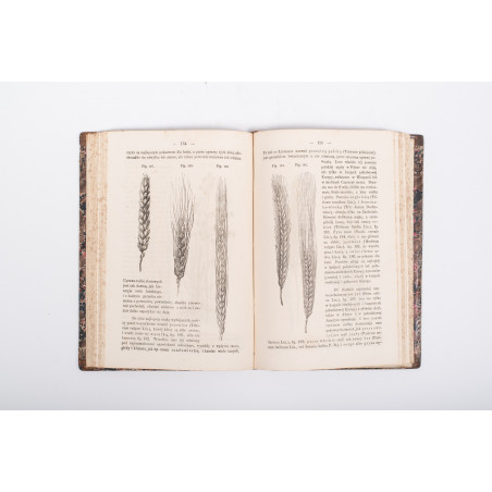 SCHOEDLER F., Botanika. Przeł. F. Berdau, Warszawa 1867