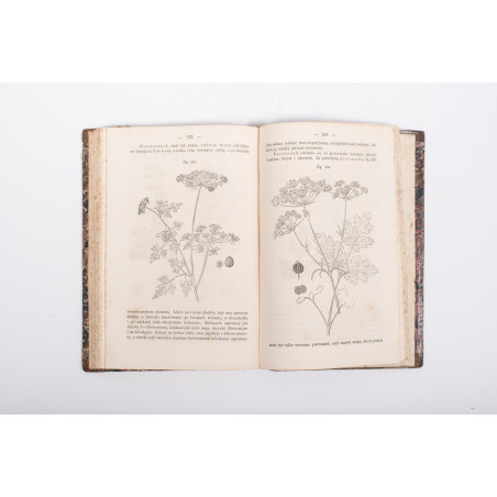 SCHOEDLER F., Botanika. Przeł. F. Berdau, Warszawa 1867