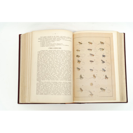 ROZWADOWSKI J., Poradnik dla miłośników sportu wędkowego, "Okólnik". R. 1898-1900