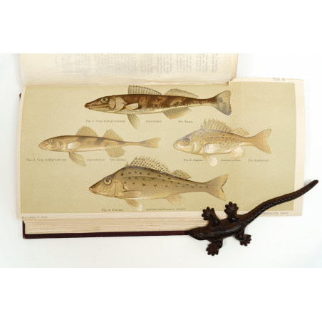 ROZWADOWSKI J., Poradnik dla miłośników sportu wędkowego, "Okólnik". R. 1898-1900