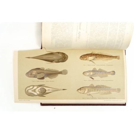 ROZWADOWSKI J., Poradnik dla miłośników sportu wędkowego, "Okólnik". R. 1898-1900