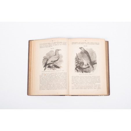 SCHOEDLER F., Księga przyrody ... wykład fizyki, astronomii, chemii, botaniki, zoologii, Warszawa 1871-1874