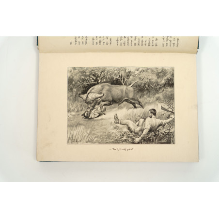 FITZPATRICK P., Dżok. Przygody psa i jego pana w puszczy, Warszawa–Kraków 1912