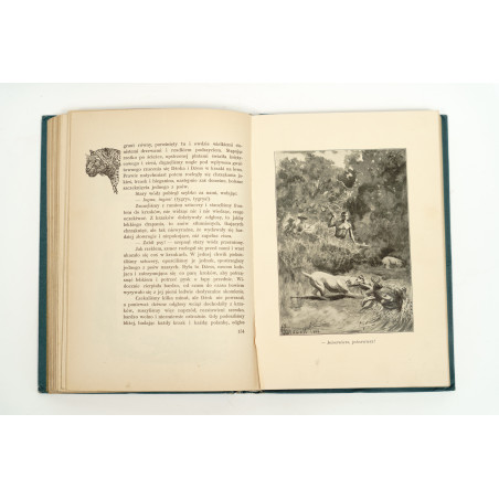FITZPATRICK P., Dżok. Przygody psa i jego pana w puszczy, Warszawa–Kraków 1912