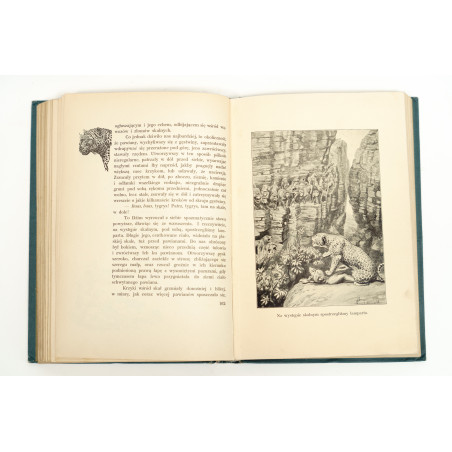 FITZPATRICK P., Dżok. Przygody psa i jego pana w puszczy, Warszawa–Kraków 1912