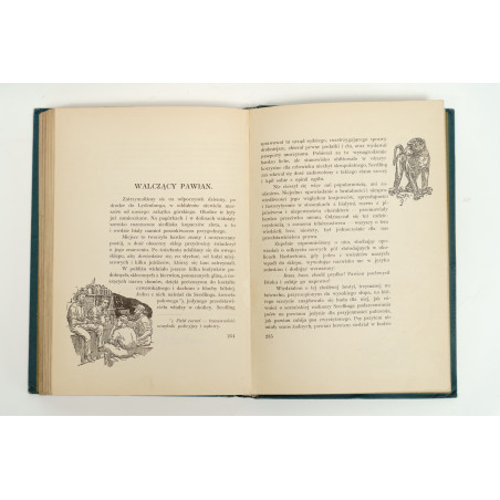 FITZPATRICK P., Dżok. Przygody psa i jego pana w puszczy, Warszawa–Kraków 1912