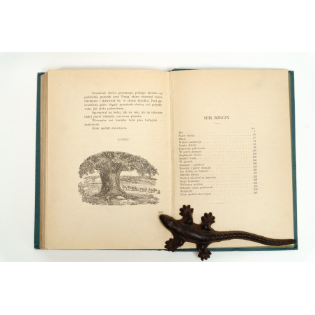 FITZPATRICK P., Dżok. Przygody psa i jego pana w puszczy, Warszawa–Kraków 1912