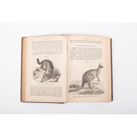 SCHOEDLER F., Księga przyrody ... wykład fizyki, astronomii, chemii, botaniki, zoologii, Warszawa 1871-1874