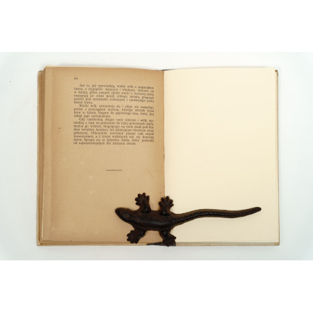 LONDON J., Przygody psa w Klondyke (Głos lasu). Ze wstępem W. Sieroszewskiego, Kraków 1909