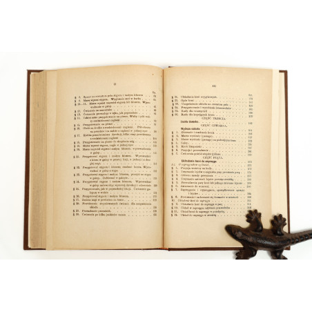WODZIŃSKI K., O układaniu koni pod wierzch i do zaprzęgu, Warszawa 1889