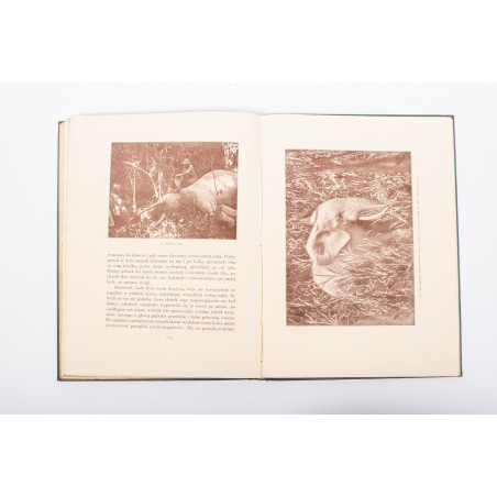 SAPIEHA L., Lasy Ituri. Wspomnienia z podróży, Warszawa–Kraków  1928