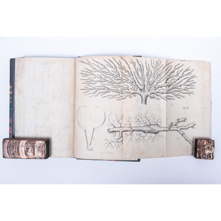 STRUMIŁŁO J., Ogrody północne. Wydanie szóste poprawne. T. 1–3, Wilno  1862