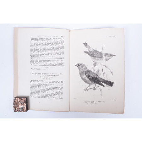 TACZANOWSKI W., Liste des Oiseaux recueillis par M. Stolzmann au Perou nord–oriental, 1882