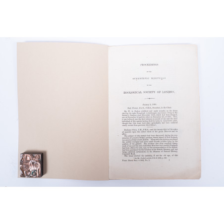 TACZANOWSKI W., Liste des Oiseaux recueillis par M. Stolzmann au Perou nord–oriental, 1882