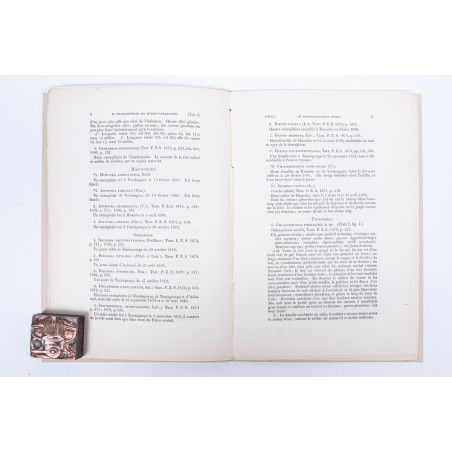 TACZANOWSKI W., Liste des Oiseaux recueillis par M. Stolzmann au Perou nord–oriental, 1882