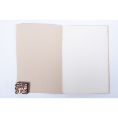 TACZANOWSKI W., Liste des Oiseaux recueillis en 1876 au nord du Perou occidental par MM. Jelski, 1877