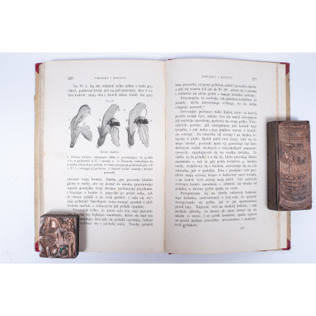 BUCKLEY A.B., Czary w krainie wiedzy. Przeł. z ang. E.H., Warszawa  1883