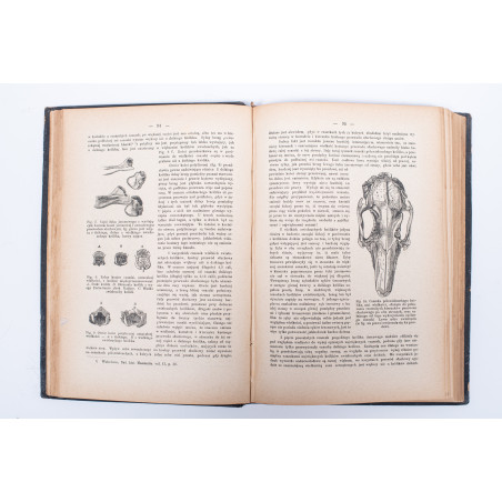 DARWIN K., Zmienność zwierząt i roślin w stanie kultury, Warszawa 1888-1889