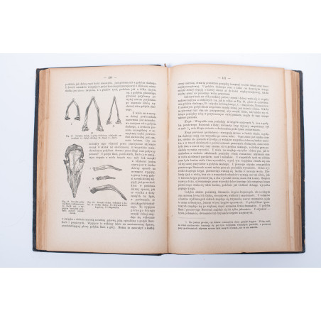 DARWIN K., Zmienność zwierząt i roślin w stanie kultury, Warszawa 1888-1889