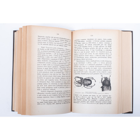 DARWIN K., O pochodzeniu człowieka. Dobór płciowy. T. 1-2, Lwów 1884, 1875-1876