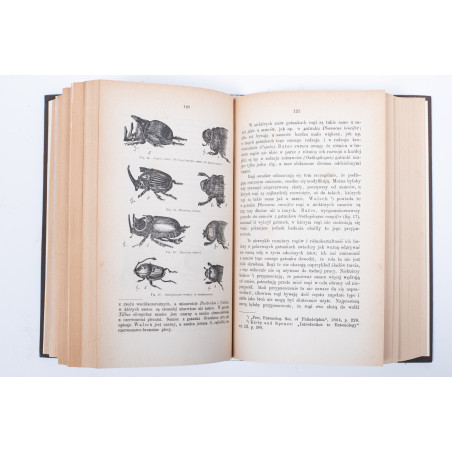 DARWIN K., O pochodzeniu człowieka. Dobór płciowy. T. 1-2, Lwów 1884, 1875-1876