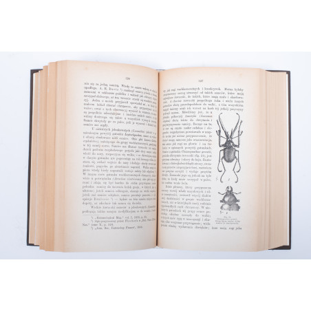 DARWIN K., O pochodzeniu człowieka. Dobór płciowy. T. 1-2, Lwów 1884, 1875-1876