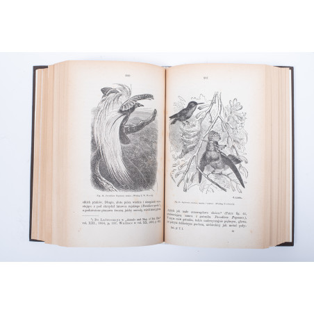 DARWIN K., O pochodzeniu człowieka. Dobór płciowy. T. 1-2, Lwów 1884, 1875-1876