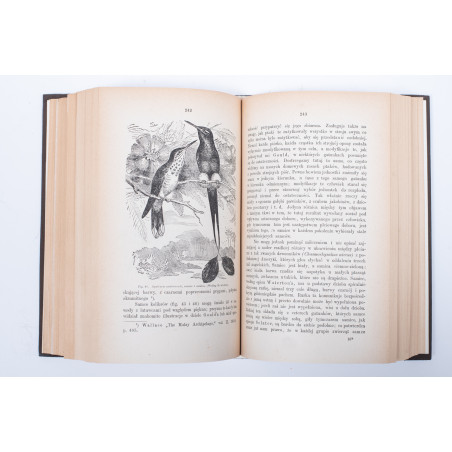 DARWIN K., O pochodzeniu człowieka. Dobór płciowy. T. 1-2, Lwów 1884, 1875-1876