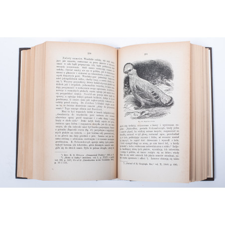 DARWIN K., O pochodzeniu człowieka. Dobór płciowy. T. 1-2, Lwów 1884, 1875-1876