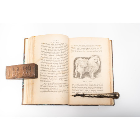 REWIEŃSKI S., Pies jego gatunki, rassy, wychów, utrzymanie, użytki, Warszawa 1893