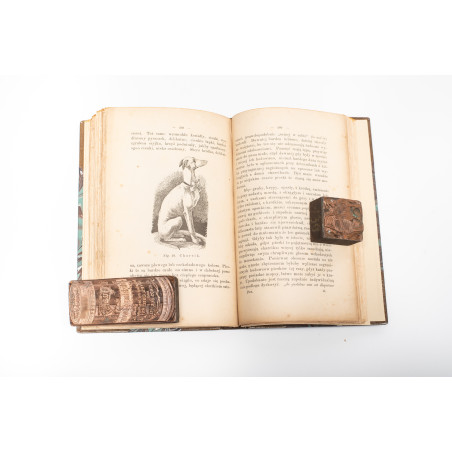 REWIEŃSKI S., Pies jego gatunki, rassy, wychów, utrzymanie, użytki, Warszawa 1893