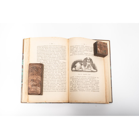 REWIEŃSKI S., Pies jego gatunki, rassy, wychów, utrzymanie, użytki, Warszawa 1893