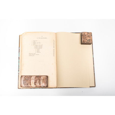 REWIEŃSKI S., Pies jego gatunki, rassy, wychów, utrzymanie, użytki, Warszawa 1893