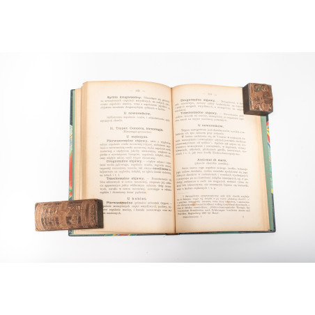 MATTEI C. hr., Elektro homeopatja. Zasady nowej umiejętności oraz wskazówki leczenia, Kraków 1892