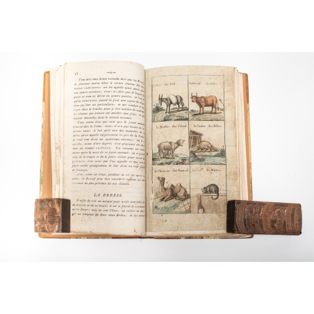 KSIĄŻKA drugiego wieku czyli nauki zabawne z historyi naturalney zwierząt, Wrocław 1802