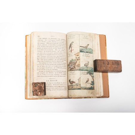 KSIĄŻKA drugiego wieku czyli nauki zabawne z historyi naturalney zwierząt, Wrocław 1802