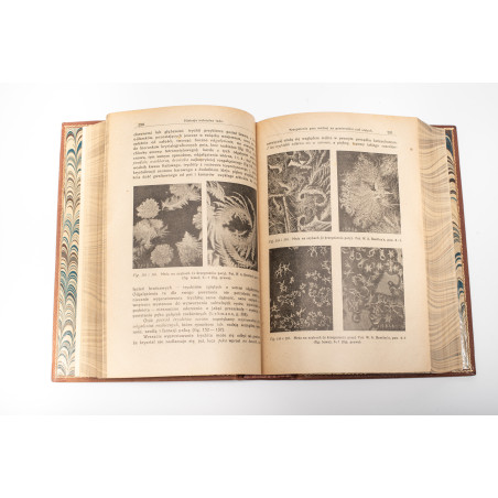 DOBROWOLSKI Antoni, Historja naturalna lodu, Warszawa 1923