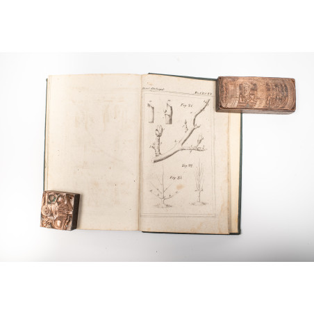 LEŚNIEWSKI P.E., Poradnik dla gospodyń wiejskich i miejskich, czyli zbiór rad, wiadomości i przepisów. T. I, Warszawa 1838