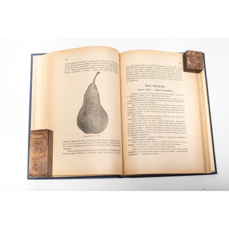 BRZEZIŃSKI K., Polska pomologja. Opis celniejszych odmian drzew owocowych, Lwów 1929