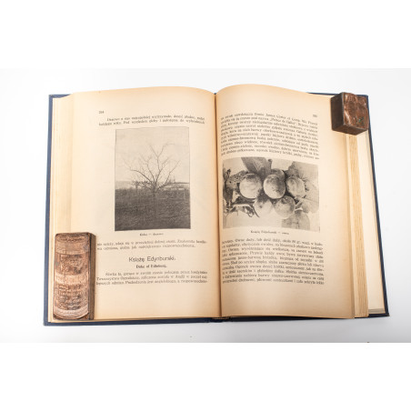 BRZEZIŃSKI K., Polska pomologja. Opis celniejszych odmian drzew owocowych, Lwów 1929