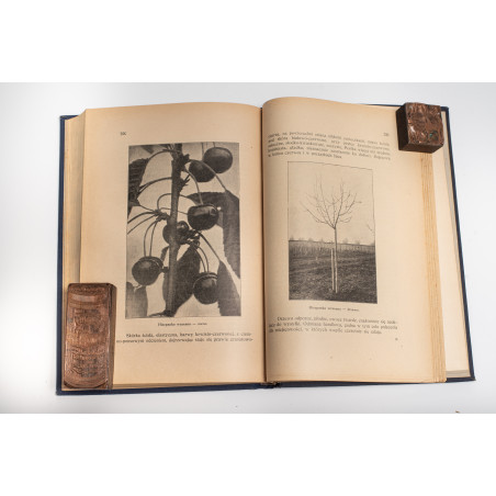 BRZEZIŃSKI K., Polska pomologja. Opis celniejszych odmian drzew owocowych, Lwów 1929