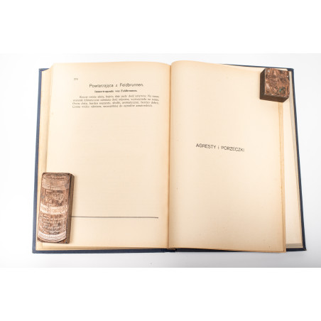 BRZEZIŃSKI K., Polska pomologja. Opis celniejszych odmian drzew owocowych, Lwów 1929