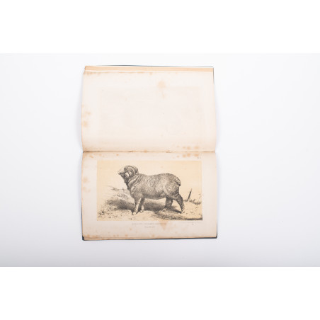 STANOWSKI J., Książka rodowodowa znakomitszych owczarni zarodowych, nie przed 1868