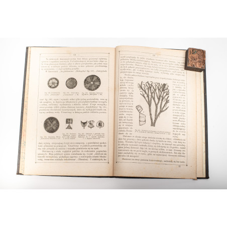 GIRARD J., Rośliny pod mikroskopem, Warszawa 1879