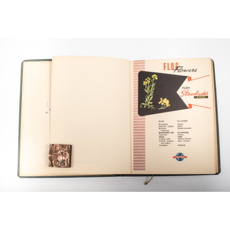 Polish medicinal herbs, Warszawa 1920-1939