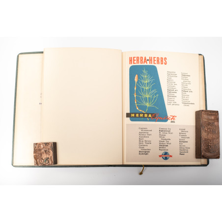 Polish medicinal herbs, Warszawa 1920-1939