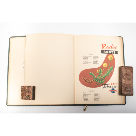 Polish medicinal herbs, Warszawa 1920-1939